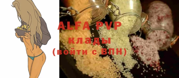молекула духа Арсеньев