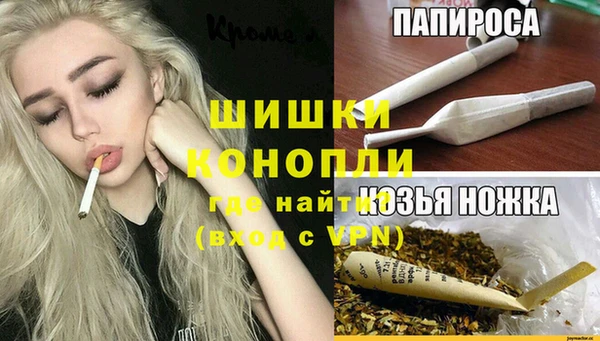 молекула духа Арсеньев
