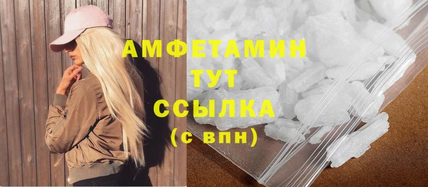 молекула духа Арсеньев